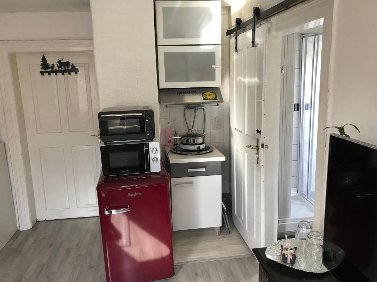 Ferienwohnung Im Einfamilienhaus, Automobil Und Robert Schumann Stadt Zwickau Ngoại thất bức ảnh